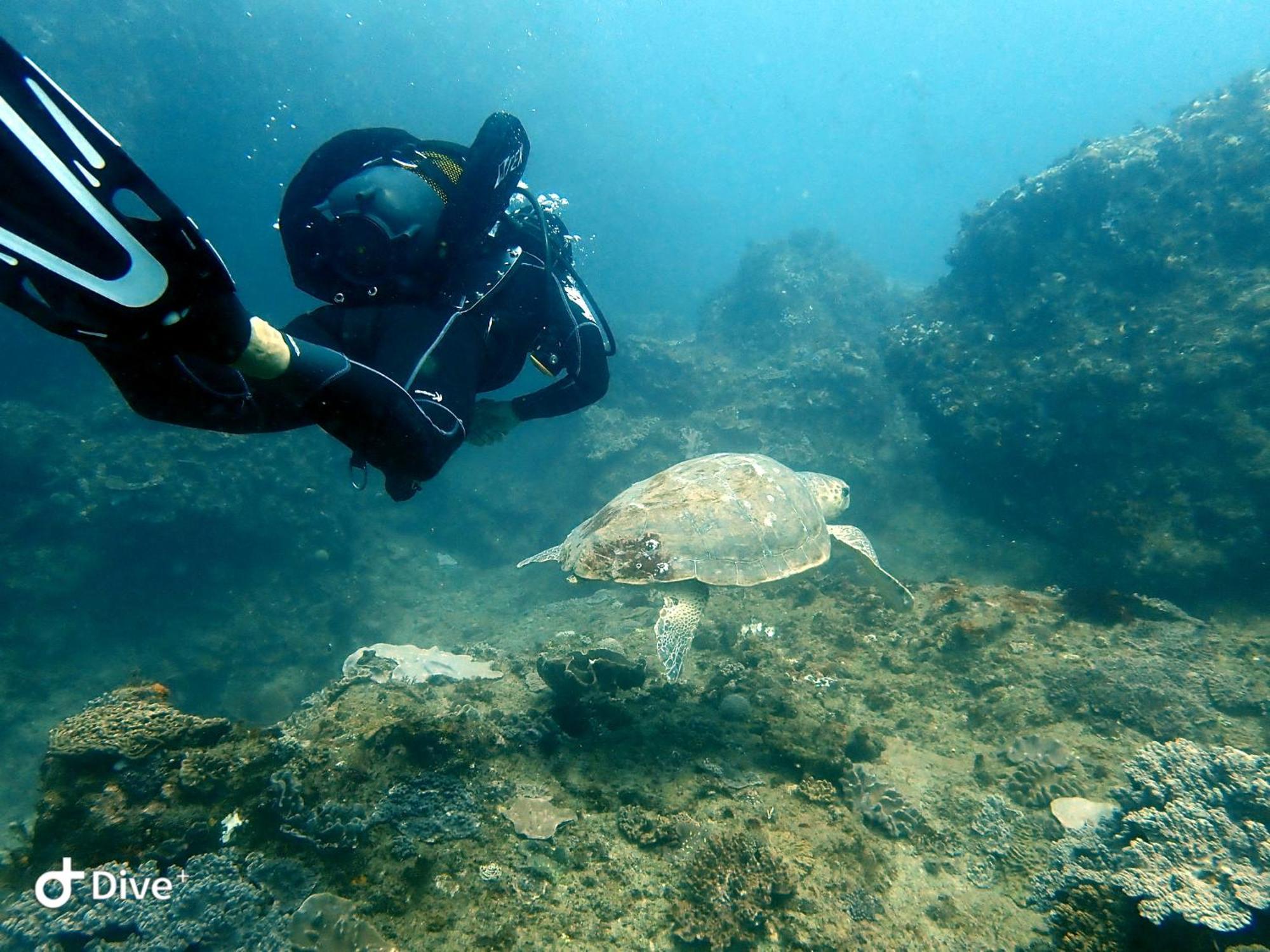 Seaxplore Lodge & Dive Center Sodwana Bay Dış mekan fotoğraf
